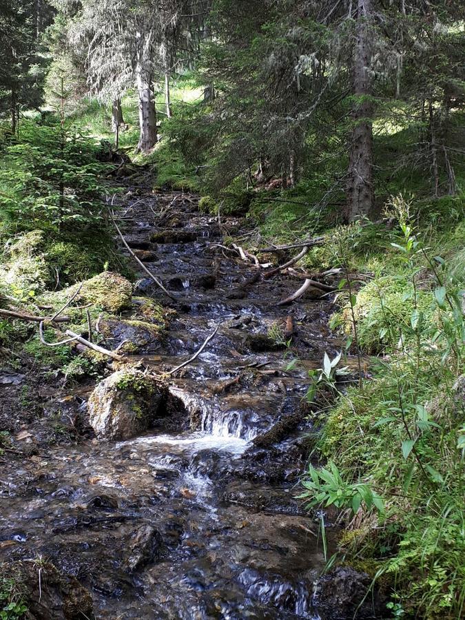Simonbauerhof Villa Bad Kleinkirchheim Bagian luar foto