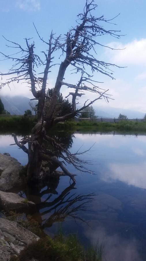 Simonbauerhof Villa Bad Kleinkirchheim Bagian luar foto
