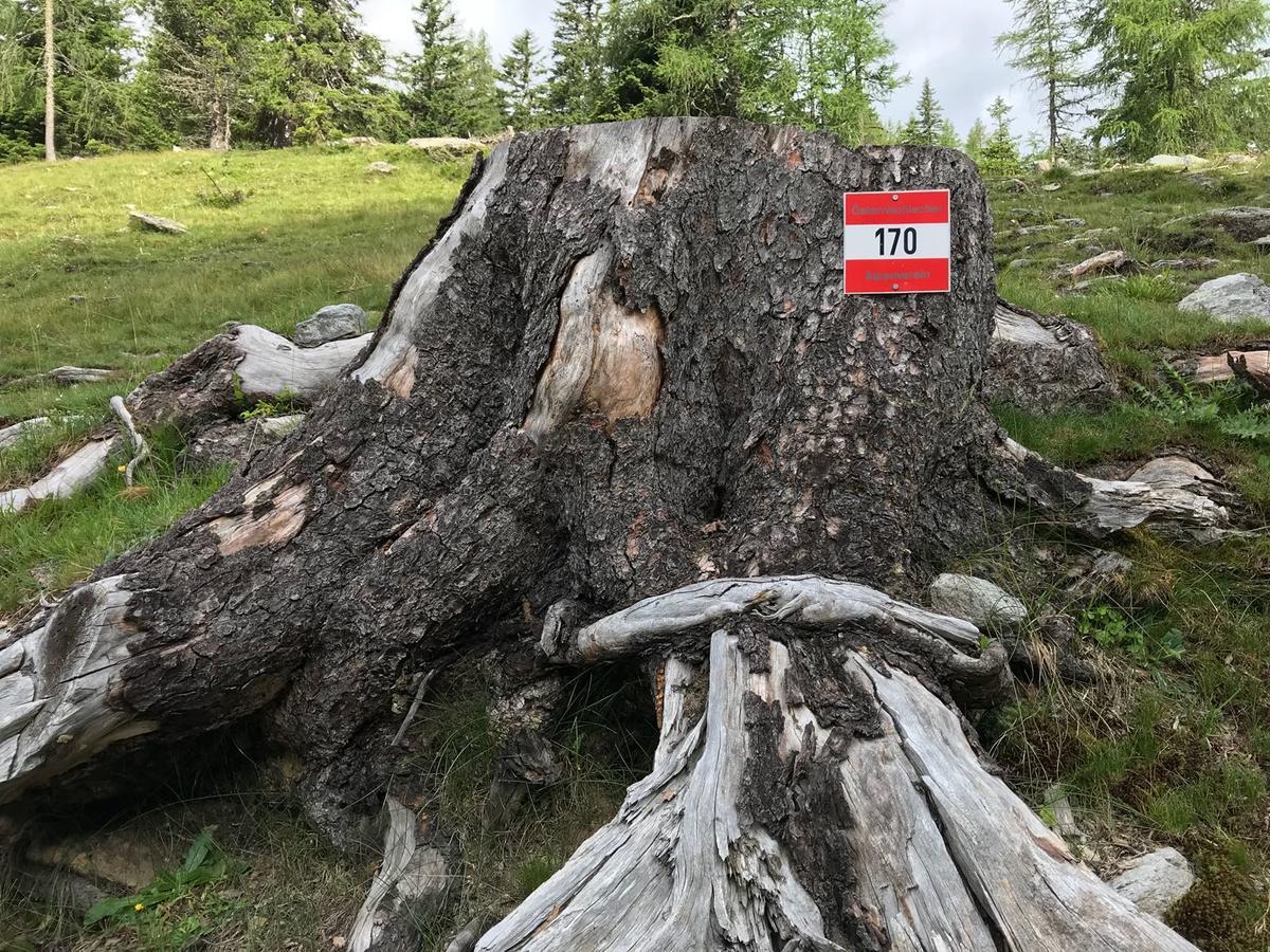 Simonbauerhof Villa Bad Kleinkirchheim Bagian luar foto