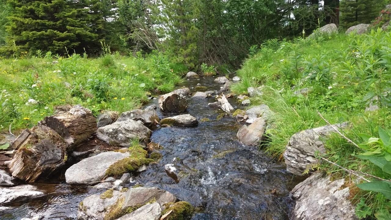 Simonbauerhof Villa Bad Kleinkirchheim Bagian luar foto