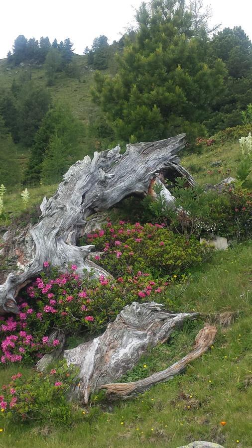 Simonbauerhof Villa Bad Kleinkirchheim Bagian luar foto