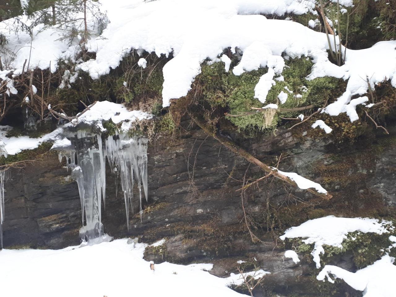 Simonbauerhof Villa Bad Kleinkirchheim Bagian luar foto