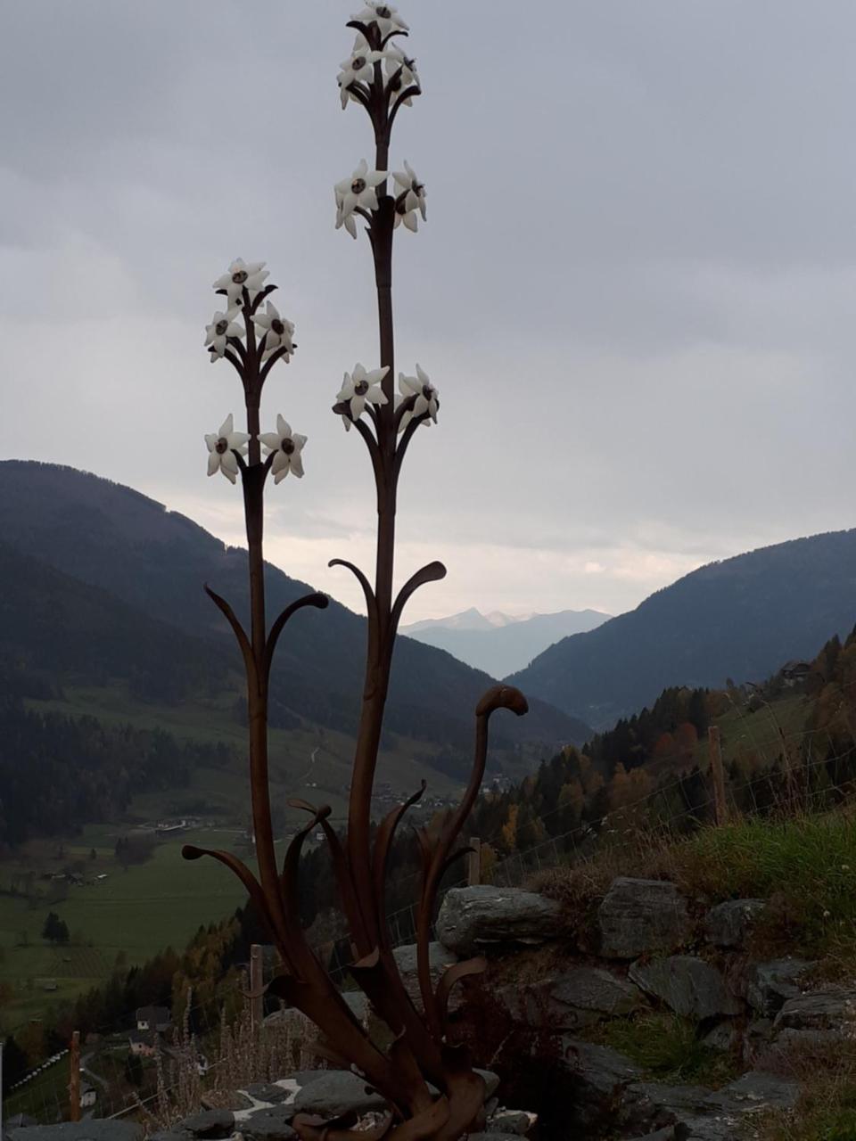 Simonbauerhof Villa Bad Kleinkirchheim Bagian luar foto